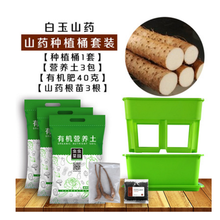 土豆种植盆种植桶室内阳台种菜神器种籽子幼儿园儿童自然科学盆栽 种植方桶套装(山药)