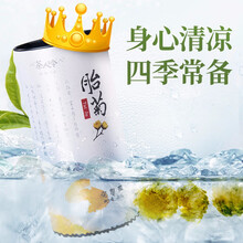 茶人岭花草茶 菊花茶 杭白菊 头采胎菊 茶叶  胎菊80g /罐