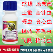 百树菊酯5.7%氟氯氰菊酯果树花卉蔬菜小菜蛾青虫地下害虫杀虫剂 50瓶/盒 20ml瓶