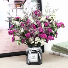 鲜花真花带花瓶勿忘我干花花束家居摆设小清新 真花卧室ins网红装饰插鲜花SN2213 玫红勿+白勿+草 （带零度灰花瓶） 干花包