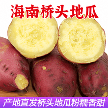 现挖海南澄迈桥头地瓜 新鲜富硒地瓜 板栗红薯 5斤装