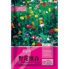花友秀  波斯菊种子格桑花百日草野花组合种籽易种花种花海种植混色 多年生野花组合混色500克 厂商封装