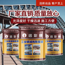 迅彩牌 醇酸磁漆 彩钢瓦漆 户外栏杆防漆金属钢构漆 防锈漆 铁门防锈漆 磁漆防锈漆油漆  防腐漆 黑色 20kg