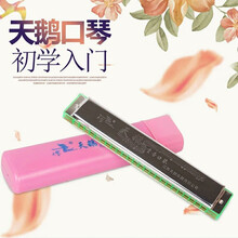 天鹅口琴24孔复音C调初学者学生入门儿童重音口风琴乐器 粉壳重音+琴布+琴盒