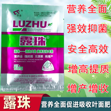 露珠叶面肥增产增收提高作物抗病抗重茬能力提高自身免疫力 50g