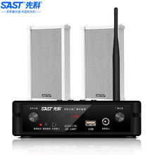 先科（SAST）D18 有源无线壁挂音响套装 家用会议室店铺公共广播影音音箱组合 一拖二套装