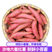新鲜红薯 沙地六鳌红薯板栗薯地瓜 非湛江金手指小香薯 大果4.5kg