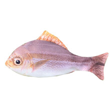 儿童仿真鱼电动鱼玩具鱼毛绒跳跳鱼娃娃早教益智小鱼玩具逗猫宠物触摸感应会动摇摆鱼抖音同款 热带鱼2升级版【学说话+会唱歌+发光+跳动】