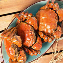 【活蟹】鲜木 盘锦河蟹稻田蟹现货公母公5只母5只蟹鲜活螃蟹缺重包赔 下单预定 母蟹3.1-3.4两16只装