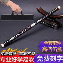 檀韵（TAN YUN） 笛子竹笛乐器初学横笛【乌木笛坏包换】专业级演奏成人学生考级戈建明804 【5支套装笛子】+拉链箱子