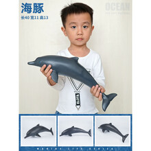 鲨鱼玩具宝宝超大号软胶仿真海洋生物模型儿童玩具大白鲨鲨鱼海龟海豚 海豚【软胶】