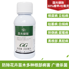 国光健致杀菌剂精甲霜灵恶霉灵 根腐病立枯病猝倒病枯萎病青枯病 一整箱【200ml*20瓶】