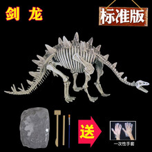 小鼠乐乐  儿童恐龙化石考古挖掘玩具diy手工制作拼装霸王龙骨架模型男孩益智玩具 标准3号剑龙
