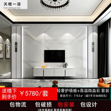 电视背景墙瓷砖微晶石现代简约客厅3d仿大理石材影视墙造型 套餐3【包安装】轻奢护墙板+高温微晶[7-9m²
