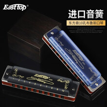 Easttop东方鼎T008K十孔布鲁斯口琴10孔蓝调自学初学者新手入门推荐练习成人专业演奏 paddy音阶【颜色备注】 C调常用调--初学推荐