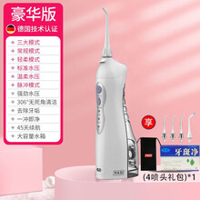 Yasi/雅玺 V8-PLUS电动冲牙器/洗牙器/水牙线家用正畸洗牙机便携式脉冲洁牙器 典雅精白（标准）-4喷头礼包
