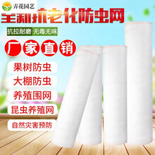 防虫网防蚊子网纱窗网养殖防纱网大棚蔬菜加厚罩尼龙网抗老化 60目加厚1米宽100米