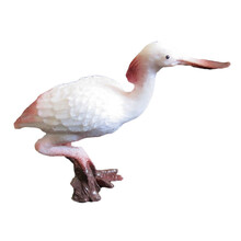 玩具鸟 实心仿真动物模型飞禽鸟类 天鹅大雁 老鹰 鹦鹉 猫头鹰儿童玩具 小号白琵鹭