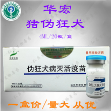 兽用母猪伪狂犬疫苗 华宏伪狂犬蜂胶灭活疫苗2头份4ml 兽用 华宏20瓶