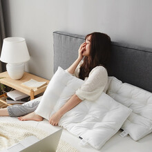 哈他家纺 蚕丝枕 美容养颜护肤枕芯 蚕丝纤维复合立体护颈枕头 安娜公主 48*74cm 单只装