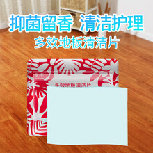 皇宇（solunar）多效地板清洁片家用地砖瓷砖木地板抑菌保养拖地清洁片液体蜡复合精油清洁剂 【32片】地板清洁片1包