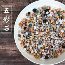 天然雨花石鹅卵石小多肉铺面盆栽花盆庭院造景装饰白色石头 五彩石(5斤)