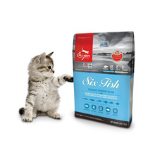 渴望Orijen 六种鱼进口猫粮宠物粮 5.4kg【双标防伪】