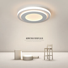VVS美学灯 超薄玄关灯吸顶灯简约现代门厅灯2020年新款圆形北欧led房间灯具走廊过道 圆形直径23.5*5cm 单色白光