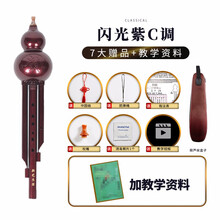 新艺乐器 葫芦丝乐器 ABS闪光紫胶木葫芦丝 学生成人儿童初学入门乐器 【闪光紫】C调+【7大赠品+教学资料】