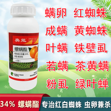 34%螺螨酯螺螨脂果树月季柑橘灭杀红蜘蛛打红蜘蛛螨虫杀菌剂 500克*10瓶