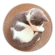 曼斯特猫抓板 碗猫 猫玩具圆形盆瓦楞纸猫窝大号猫抓板猫磨爪器猫咪用品 圆形石纹
