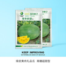 中科茂华瓜果种子茂华珍甜月下美人礼品西瓜种子单果3-6斤黑美人西瓜大红瓤绿皮黄肉家庭园艺阳台盆栽 茂华珍甜300粒/袋【绿皮黄肉3-4斤】