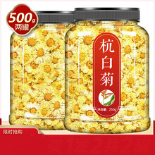杭白菊 桐乡特级正宗杭州原产罐散装大朵菊花茶胎菊 【2罐】杭白菊(共500克)