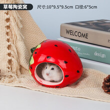 宠尚天 椰子壳仓鼠窝宠物保暖用品刺猬松鼠金丝熊睡窝小窝蜜袋鼯屋小房子 草莓窝10*9.5*9.5cm S