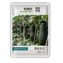 粉皮冬瓜种子 黑皮冬瓜种籽 家庭四季蔬菜种子 阳台庭院种植菜籽 黑皮冬瓜 30粒
