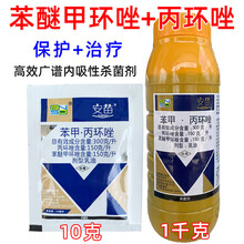 瀚鑫 30%苯甲丙环唑苯甲丙环锉 安苗 水稻纹枯病果树锈病农药杀菌剂10g 1000g