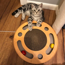 【带猫薄荷】华元宠具趣味双球猫抓板猫爪板大号猫抓盆抓垫瓦楞纸猫窝磨爪器猫玩具 木纹掏球猫抓板