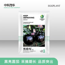 中科茂华黑将军杂交黑紫圆茄种子早熟高产茄子种子黑紫高亮度种苗超二苠茄子籽四季家庭园艺阳台盆栽快茄黑茄 黑将军圆茄300粒/袋【黑亮型】