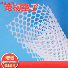 宠物脚垫网格垫子狗笼垫板脚皮炎兔笼猫笼鸡鸭笼子脚垫加厚款 50*35 0.8孔径白色