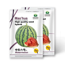 中科茂华瓜果种子中科六号西瓜种子替代8424麒麟西瓜种子抗裂不易炸瓜瓤色桃红5克