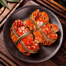 【活蟹】姚鲜品旗舰店  大闸蟹礼盒鲜活特大螃蟹活体现货公母产地直发缺重包赔 4两母5两公对半 10只装