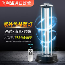 飞利浦紫外线杀菌灯管 定时遥控除螨家用进口消毒灯UV-C紫外线灯灭菌灯器 配国产品牌底座 【经典款】飞利浦55W杀菌灯管-国产遥控定时底座