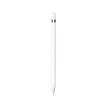Apple Pencil (第一代) 含USB-C转换器【适用iPad mini5/iPad Air3/iPad 10.2英寸(第九/十代)】