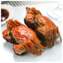 安小离顺丰大闸蟹螃蟹鲜活现货海鲜水产镇特大蟹清水河蟹单只 一只公蟹(4.5-4两)