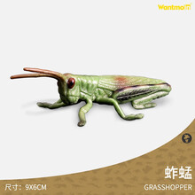 玩模乐昆虫动物模型 飞虫类科莫多巨蜥独角仙蜜蜂揪型虫蚱蜢过家家玩具 儿童认知玩具男女孩礼物3-10岁 蚱蜢