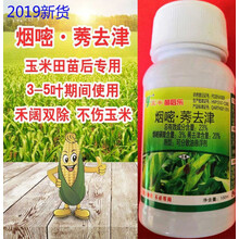 23%烟嘧磺隆莠去津玉米田苗后专用除草剂玉米地封地禾阔双除 100ml