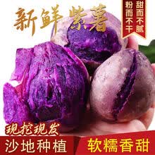 梓乐果 沂蒙山新鲜紫薯现挖紫农家自种紫心番薯新鲜 沂蒙山沙地精品紫薯(强烈) 净重 2斤装(小果)