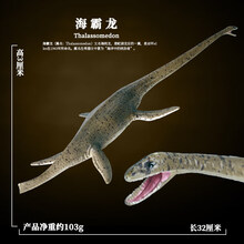 Oenux影版大号沧龙模型仿真动物史前海洋生物巨齿鲨鱼恐龙玩具男 实心海霸龙