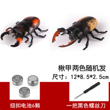 抖音同款仿真眼镜蛇遥控毛毛虫爬行动物虫子昆虫电动蟑螂整蛊玩具 深灰色 中配+螺丝刀+22纽扣电池