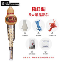 防摔葫芦丝乐器初学者C调小d天然成人入门零基础小学生 经典款降B调【送礼包，无皮盒】